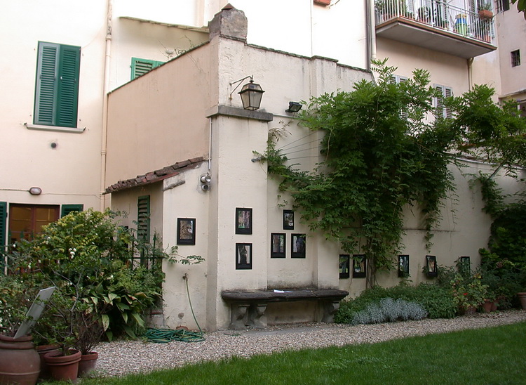 Mitologia e volti degli alberi